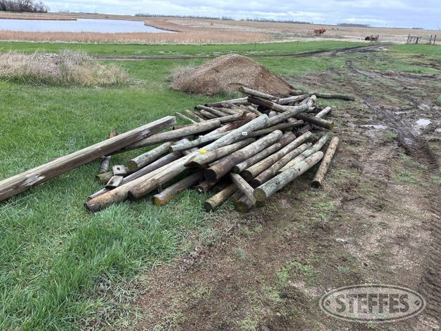 Approx. (50) wood posts